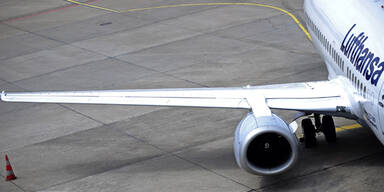 Vogelschlag: Lufthansa-Airbus muss notlanden