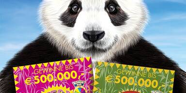Panda Mega Brieflos Zoo