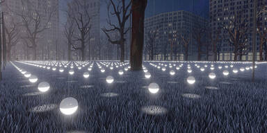 Österreicher erleuchtet New Yorker Park mit Hunderten LED-Lichtern
