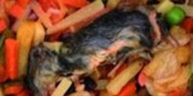 Ekelfund: Tote Maus in abgepackten Salat