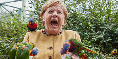 Kanzlerin Merkel von Papagei gebissen