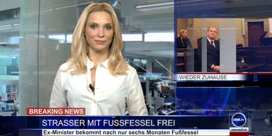 News TV: Ex-Minister Strasser mit Fußfessel frei