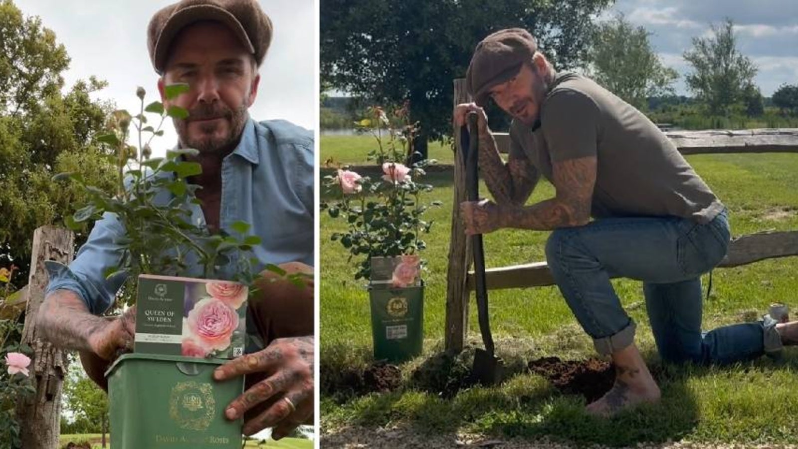 Neuer Job! David Beckham bald mit eigener GärtnerShow? stars24