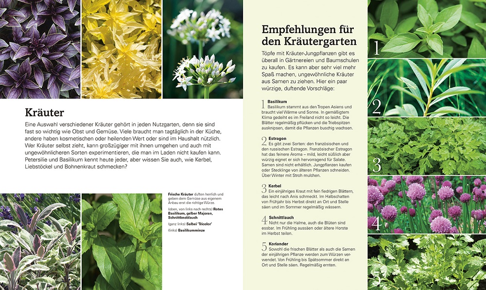 Der Nutzgarten - NaturLust - Garten-CH - Buchtipp - Dorling Kindersley - Auszug 3