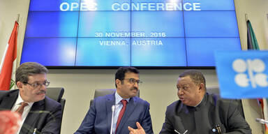 OPEC Meeting WIen