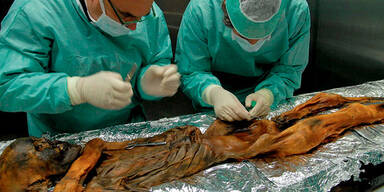 Ötzi aß Steinbock, Hirsch und Getreide bevor er starb