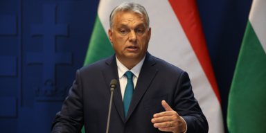 Orban erwartet keinen Schutz durch die NATO
