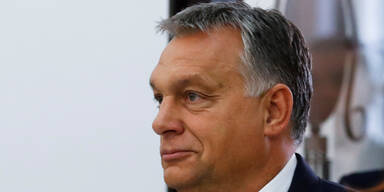 Orban-Bruder in Offshore-Geschäfte involviert