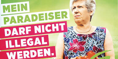 Grüne plakatieren "illegale" Paradeiser als EU-Wahl-Gag