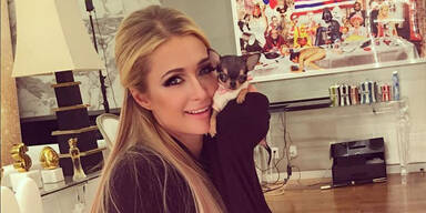 Paris Hilton mit Hund