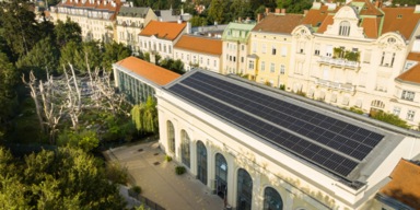 Dach über den Orang-Utans produziert Sonnen-Strom.&nbsp;