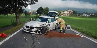 Pinzgau Crash