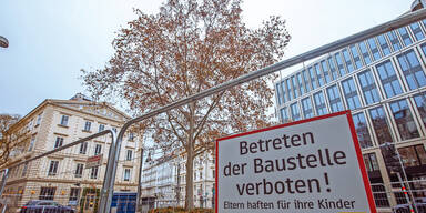 Ganz Wien  will diesen Baum retten | 80 Jahre alte Platane muss dem U-Bahn-Bau weichen