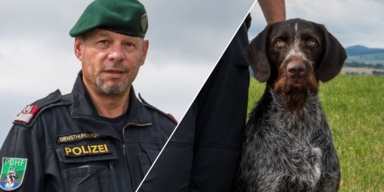 Polizeihund