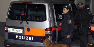 Österreichs dümmster Dieb bricht bei Polizei ein