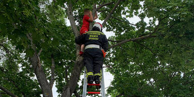 Happy End! Feuerwehr rettet Bub von Baum