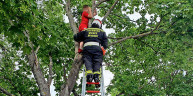 Wiener Neudorf Feuerwehr rettet Fußballer von Baum