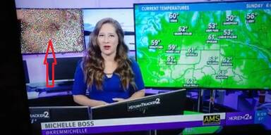 Mega-Panne: TV-Sender zeigte Porno während Wetterbericht