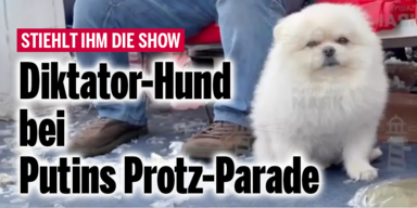 Diktator-Hund bei Putins Protz-Parade