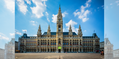 Erster öffentlicher Ausschuss im Wiener Rathaus