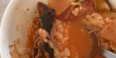 Ratte in Suppe: US-Paar verklagt Lokal nach Lebensmittelvergiftung