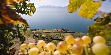 Den Schweizer Herbst schmecken