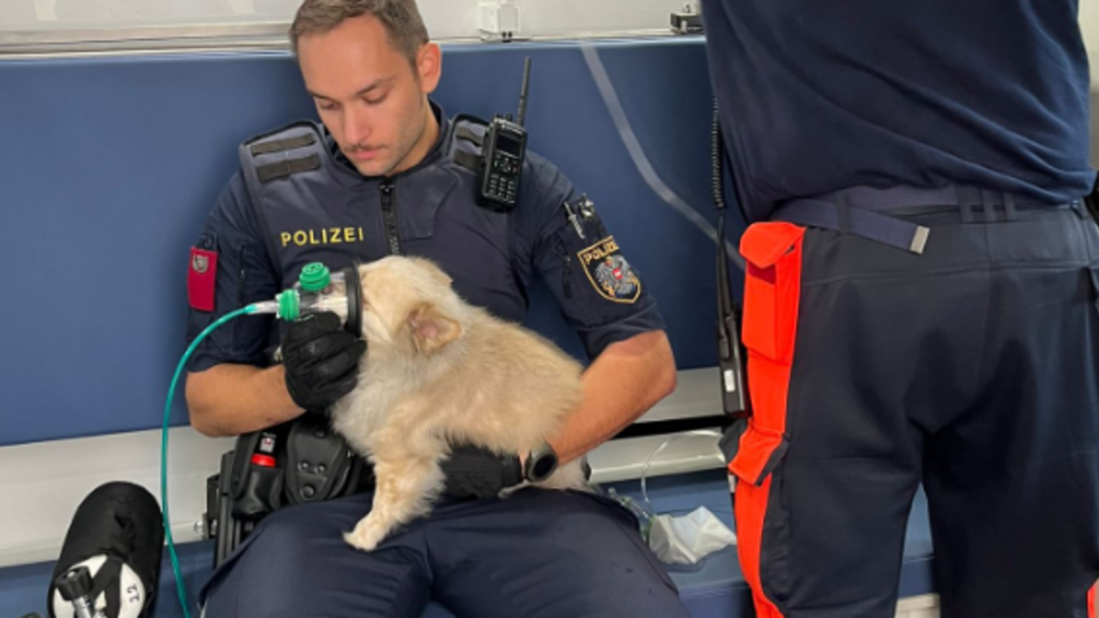 Brand: Polizist Rettet Hund Das Leben - Oe24.at