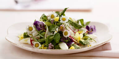 Frühling-Salat