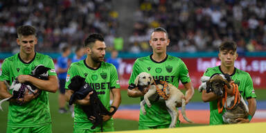 Rumänien Spieler laufen mit Hunde im Arm ein
