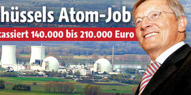 So viel casht Schüssel für den Atom-Job
