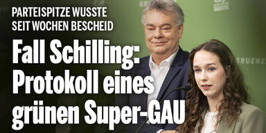 Kogler, Maurer & Co. wollen Causa Schilling aussitzen