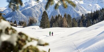 Winterliche Eindrücke im Vorarlberger Brandnertal