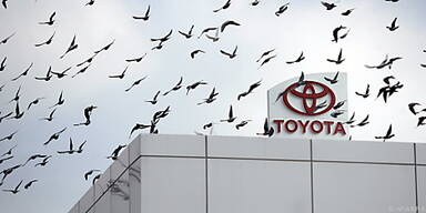 Toyota-Chef weist Vertuschungsvorwurf zurück