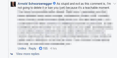 Schwarzenegger terminiert Internet-Troll