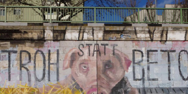 Schweine Grafiti (2).png