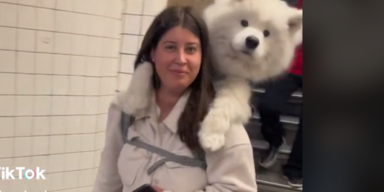 Cuteness-Alarm: Frau trägt ihren 23-Kilo Hund jeden Tag im Rucksack