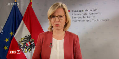 Klimaschutzministerin Leonore Gewessler (Grüne) in der ZIB3