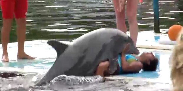 Aufdringlich: Delfin belästigt Frau 