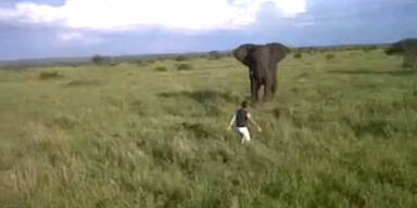 Betrunkener legt sich mit wildem Elefanten an