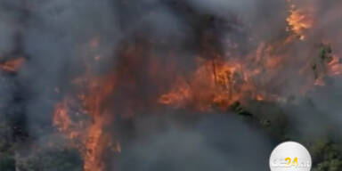 Buschbrände in Australien: Brandstiftung?