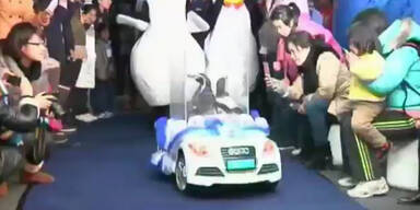 Valentinstag: Trauung im Pingu-Mobil