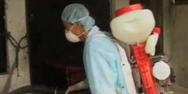 H7N9: Keine Infektion zwischen Menschen