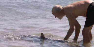 Brite rettet Kind vor Hai und wird gefeuert