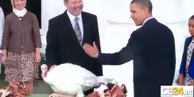 Obama begnadigt Thanksgiving-Truthähne