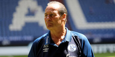 Stevens übernimmt Krisen-Schalke kurzzeitig