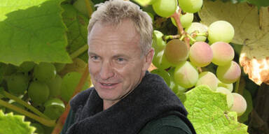 Sting macht Rock-Wein