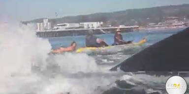 Surferin fast von Wal verschluckt