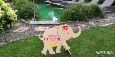 Thailand - IdT - Elefanten-News des Tages - Smiley-fant Pool relaxen