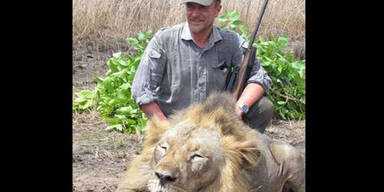 Tropheenjäger macht Selfie mit totem Löwen und stirbt beim Jagen