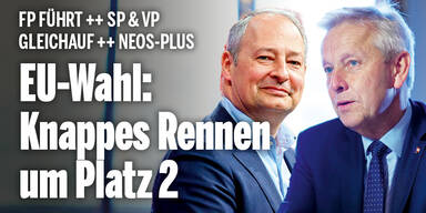 EU-Wahl-Umfrage Lopatka Schieder